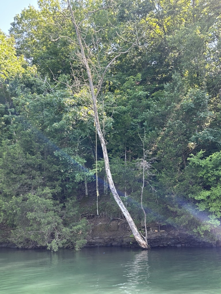 6f3afea0 2374 47e2 a2a0 e379995e6db5 1 105 c