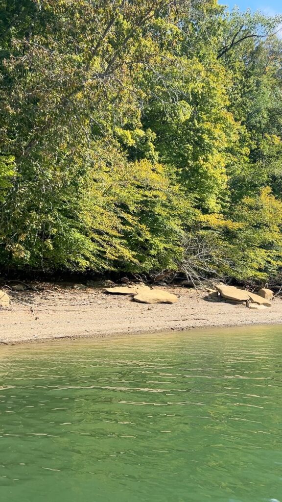 Dale Hollow Fall shoreline.