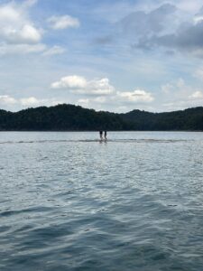 The island on Dale Hollow Lake just starts appearing in early September.