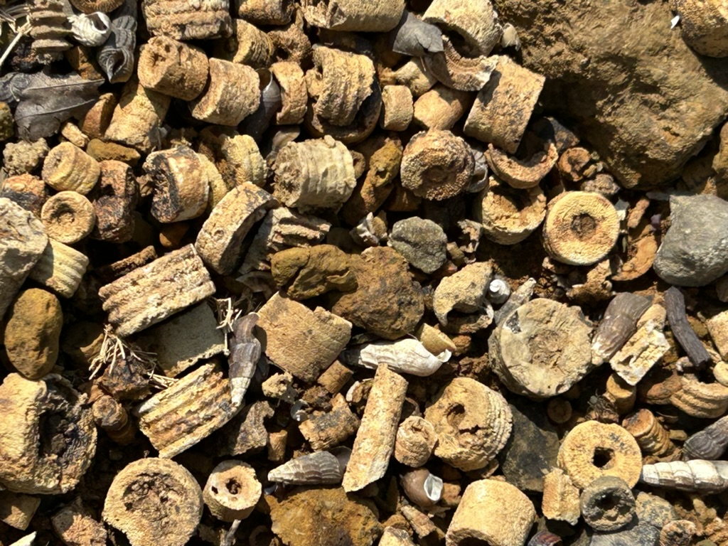 635f1b92 27bb 44f6 804f 4a6146521703 1 105 c