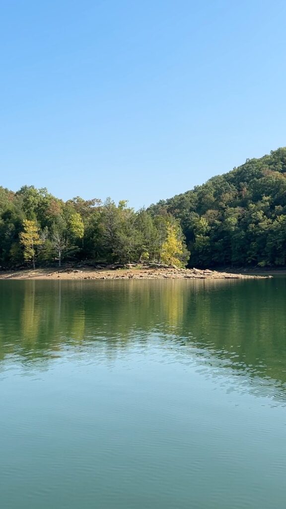 6f0fdee2 6dfe 4eed 9fdb 58356dddf3d0 1 105 c