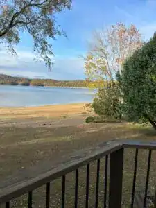 Island view from The Lake House on Dale Hollow