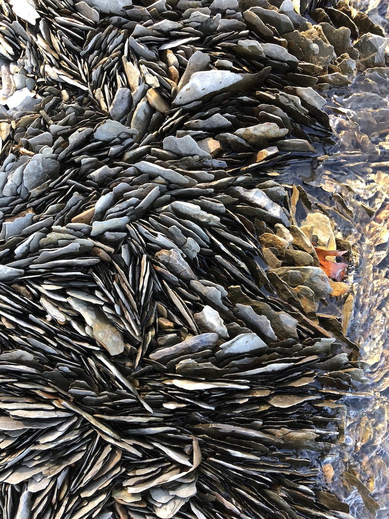 Fascinating patters from rock layers on the shoreline of Dale Hollow Lake.