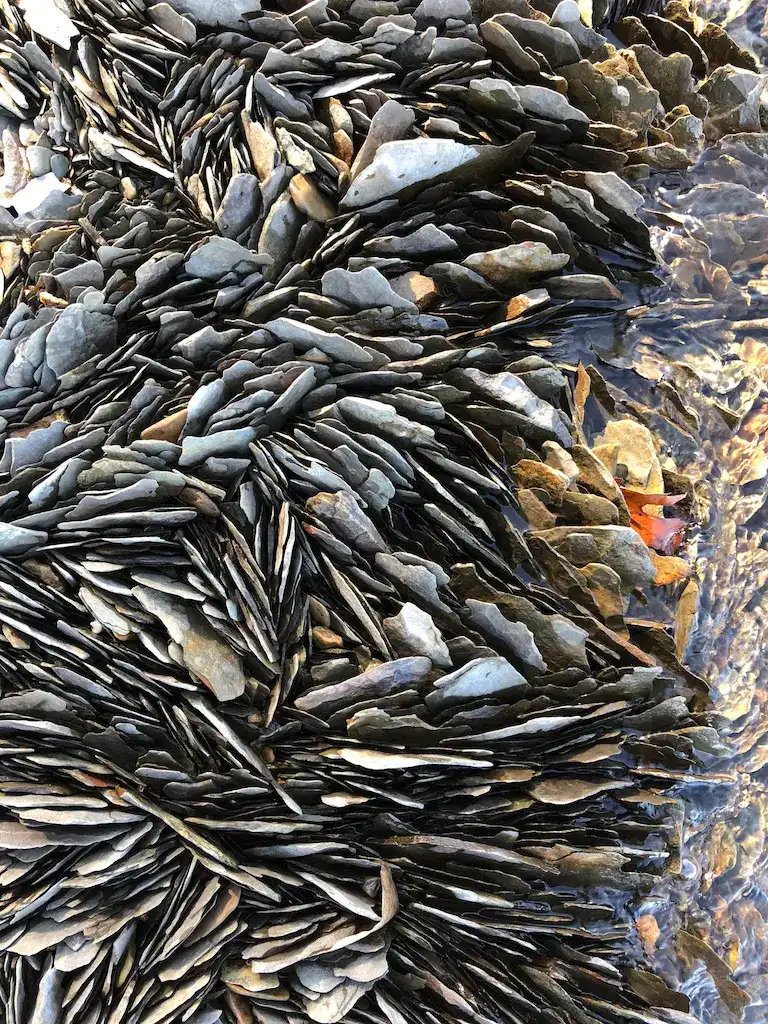 Fascinating patters from rock layers on the shoreline of Dale Hollow Lake.