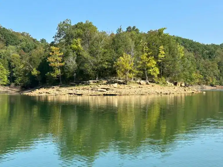 Calm water and a beach on Dale Hollow Lake that contains crinoids.