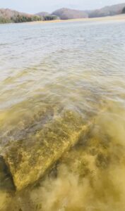 flat concrete grave vault slabs