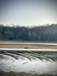 Light ripples surrounding an island on Dale Hollow Lake. 