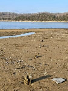 A row of decomposing wooden posts on an island on Dale Hollow Lake