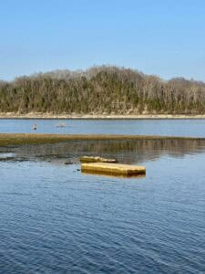 Two grave vaults peeking out of the water on Dale Hollow Lake