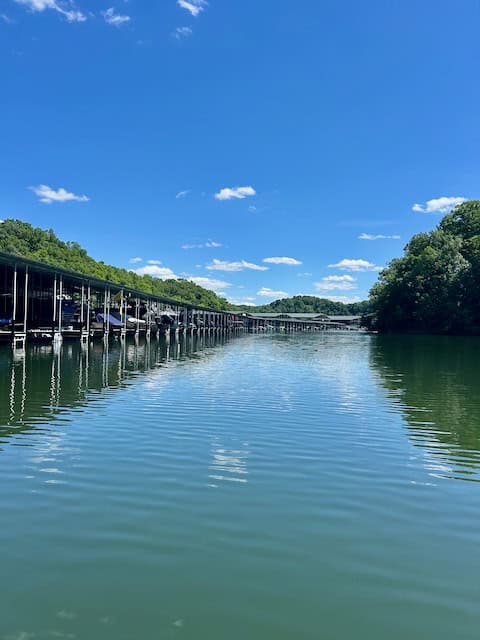 Glassy calm water with marina slips on left and green forest on right.